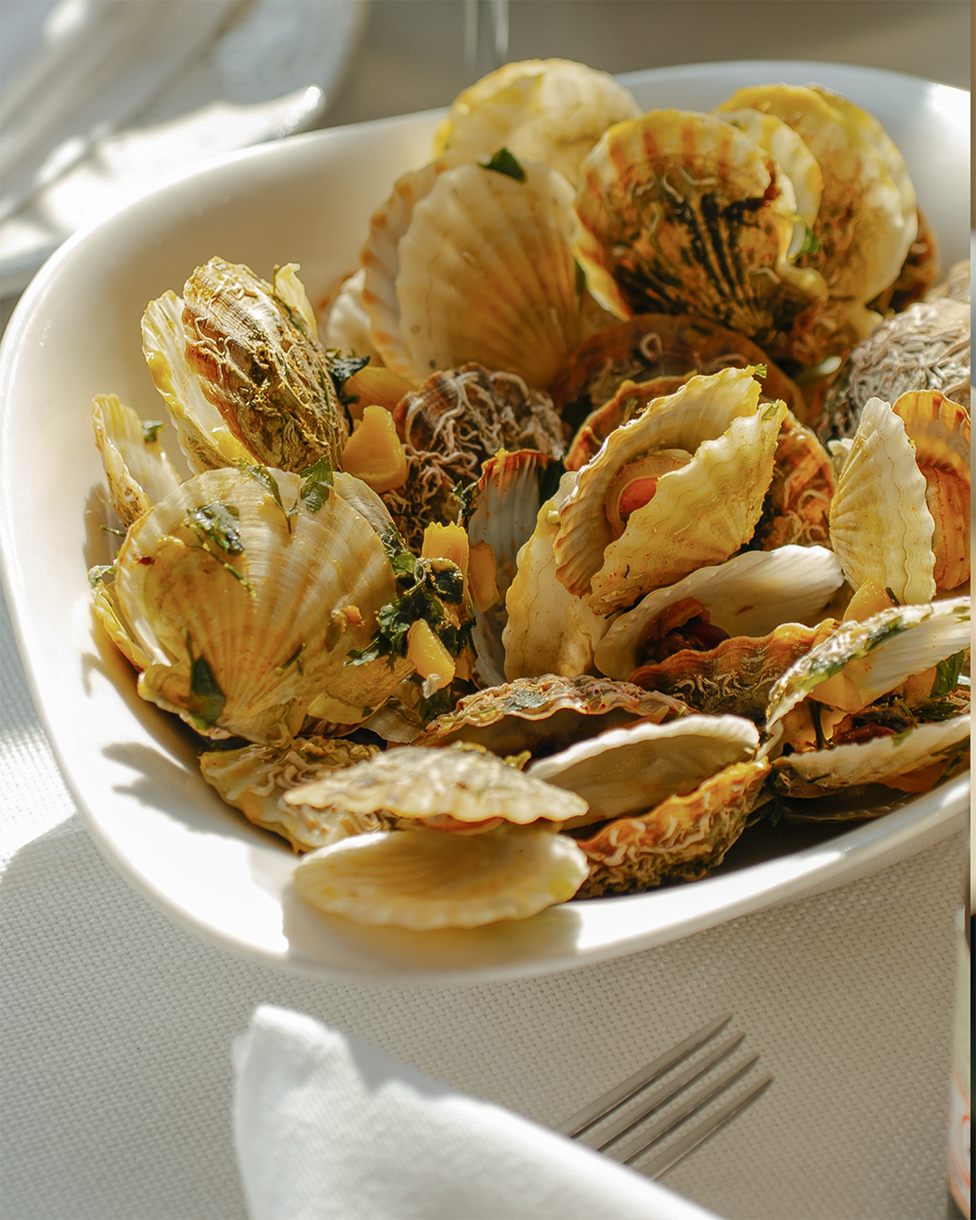 SACA MARİN AĞUSTOS AKIŞ-19